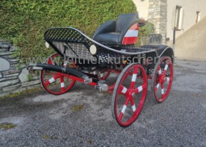 leitner-kutschen-marathon-pony-gebraucht-1