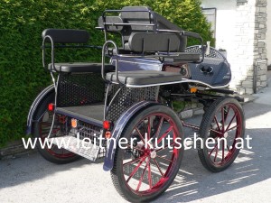 leitner-kutschen-training-50C-3