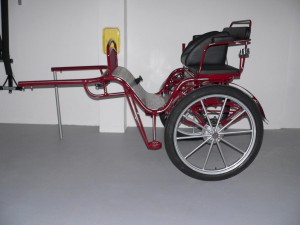 leitner-kutschen-gig-3