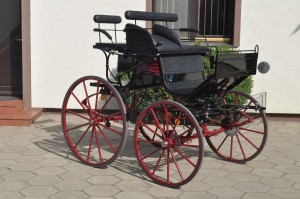 leitner-kutschen-spider-LK65-1