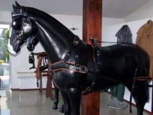 leitner-kutschen-geschirr-arden-standard-lux-1-sp-swb