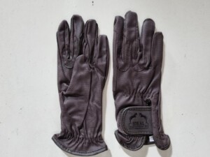 leitner-kutschen-handschuh-ideal-digital