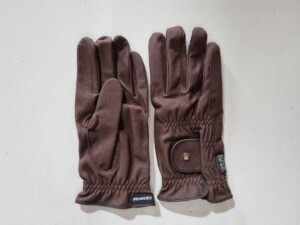 leitner-kutschen-handschuh-roeckl